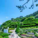 대전광역시청 이미지