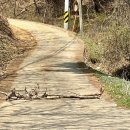 성왕산등산로 이미지