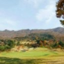 마이다스밸리 청평 골프 클럽 Daum카페
