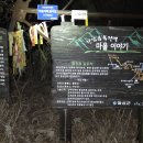 숭선고개길 이미지