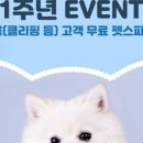 우리 펫 살롱 이미지