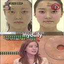 스펀지그룹 마이데일리