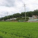 기성면사랑채 이미지