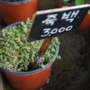헬로!은비 이미지