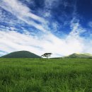 이시돌목장 이미지