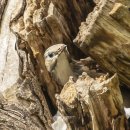 화북면보건지소 이미지