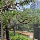 장안 근린공원 이미지