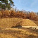 유복립 묘 이미지