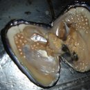 사랑보석