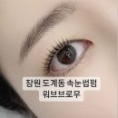 워브브로우 | 창원 도계동 속눈썹펌 꼼꼼하게 바짝 올라가는 워브브로우 재방문 후기