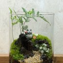 학장종합복지관 | 부산 테라리움 출강 후기 | 복지관 단체 클래스 [시니어클래스]