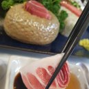 신참치통