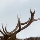 (주)지오사이언스