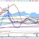 태평양 금호 이미지