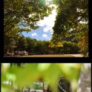 휴림펜션 이미지