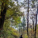 이화산등산로 | 🌻 일요일, 좁디좁은 <이화에 월백하고> 카페보다 한적한 <백덕산>