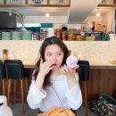 사카나 이미지