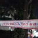 지브로 (GIBRO)