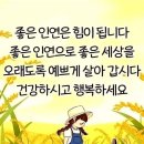 관절과 연골 & 음식과 운동 이미지