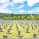 행정사무소 해올 이미지