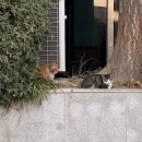 WR(부산광역시 부산진구)-[백양대로]-하-10 | 서로 다른 마음은 어디로든 다시 흘러갈테니