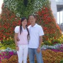 결혼이야기 이미지