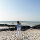 나훈아노래방 이미지