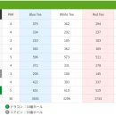 (주)알레아 이미지