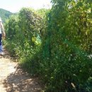 남가네 농장 이미지