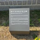 문화가 있는 날 [함께 걷는 공연 나들이] 6회차 부에노스아이레스로 가는 탱고 여행 | 시골 아이와 함께한 봄날의 서울 고궁 나들이, 궁중문화축전 200% 즐기기 꿀팁!