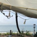 애견 11번가 | 가능한 변산반도 4만원 가성비 캠핑장/고사포 캠핑장,해수욕장: 고사포 캠핑 11번가 후기 (현재 운영x)