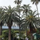 시티홀관광호텔제주 | 5월 제주도 서쪽 여행(1): 맛집, 가 볼만 한 곳 추천