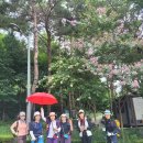 8월17일(월) 북한산 (비 ☔ 소식 이라 코스 변경) 이미지