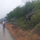 덕치농장 이미지