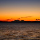 영암오리 이미지