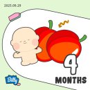 맛고을해남 이미지