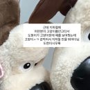 록게임장 이미지