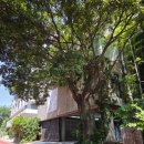 김종학 | 부산 조현화랑 ㅣ 김종학 개인전 <On Paper>