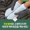 테르엔 이미지