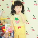 딸기PC 이미지