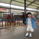 전동목장 이미지