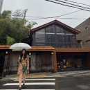비오는 날 가기 좋은 부산 모모스커피 본점 온천장 블루리본 카페 그리고 또간집 이재모피자 부산역점