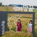 ㈜황금환경 이미지