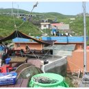 선창가 민박 이미지