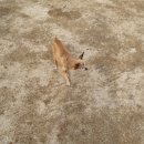 일신민박 이미지