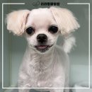 리라동물병원