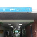 최용신선생묘 이미지