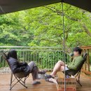 무릉도원면-20 | [무릉도원면 캠핑장] 영월 계곡캠핑장 포안 캠핑장 마을 하나 후기