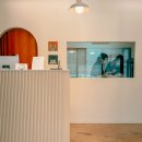 이쁘냥 고양이 미용실 이미지