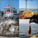 은아 | 인천 배낚시 어디가 좋을까? 은아낚시 직접 다녀온 리얼 후기 주꾸미 100마리 잡는 법